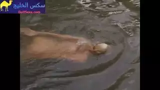 فتاةساخنة تنتاك وتمص الرب بقوة