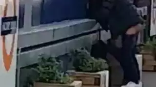 ثنائي مراهق ثمل يقوم بجنس فموي وجنس على العشب