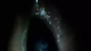 خنزير سكس مع حمار